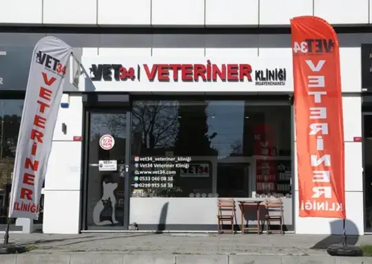 VET34 Veteriner Kliniği | Kedi ve Köpek Sağlığı