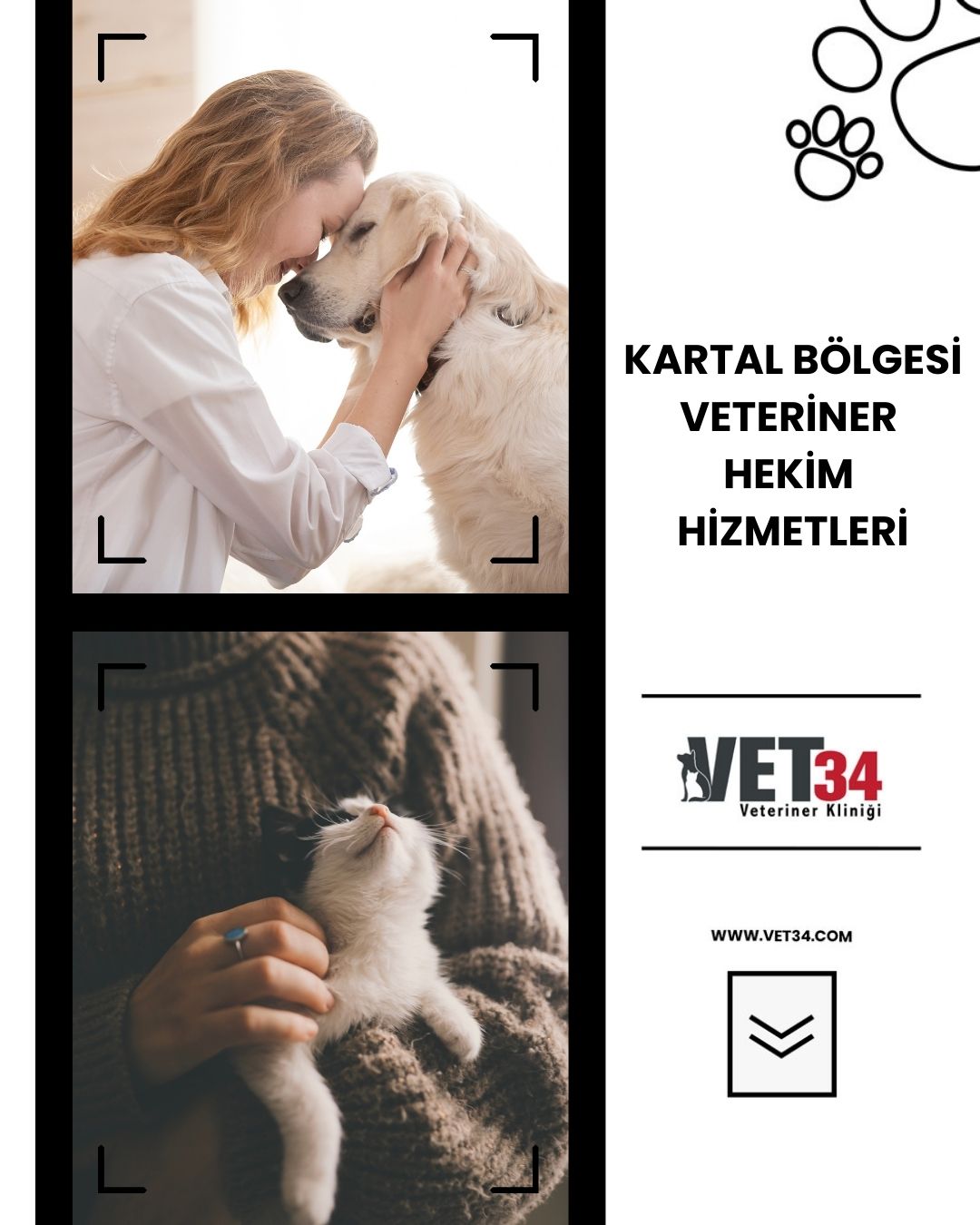 Kartal Bölgesi Veteriner Hekim Hizmetleri