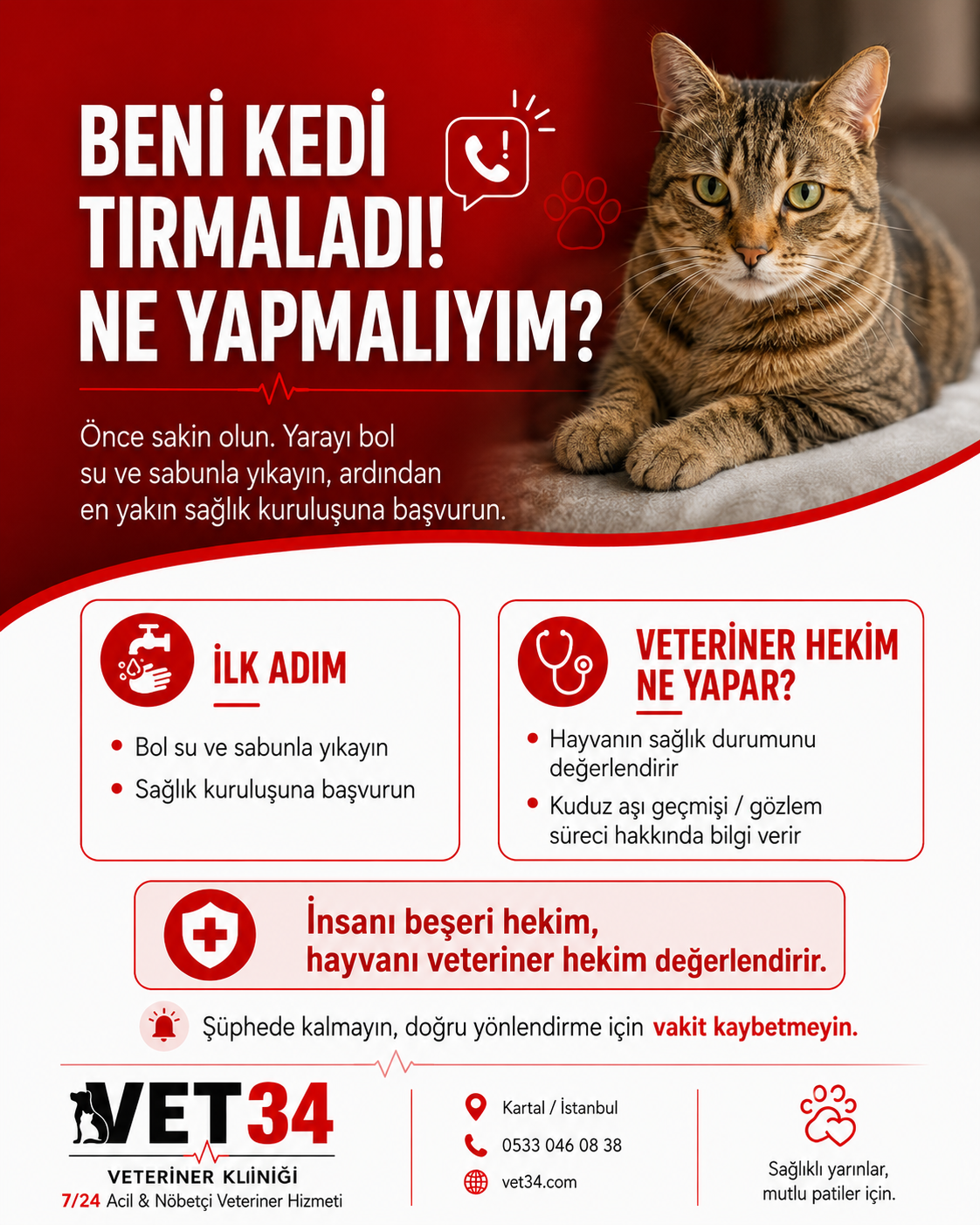 Beni Kedi Tırmaladı, Ne Yapmalıyım?