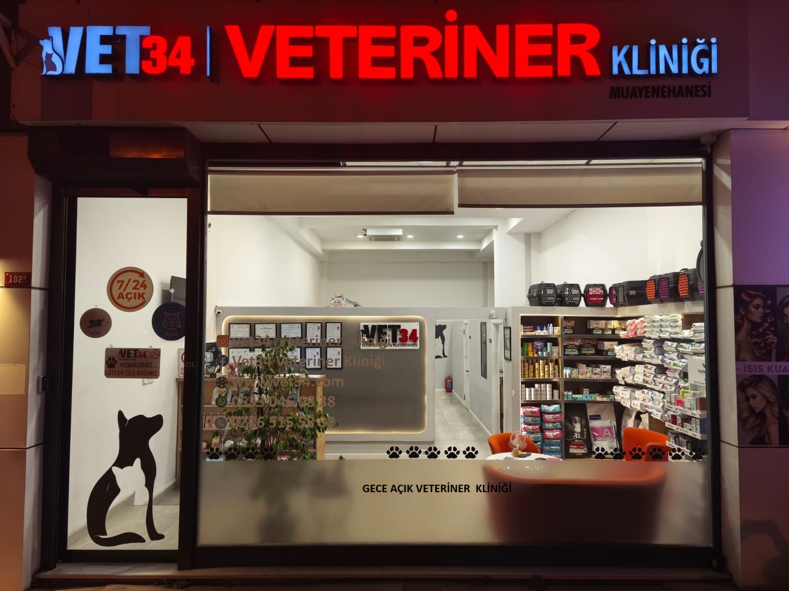 Dragos Sahilinde Yaşayanlar İçin Veteriner Rehberi | 7/24 Acil Durumlarda Ne Yapmalısınız?