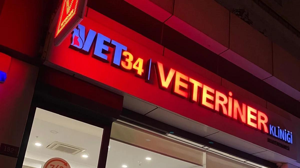 Esentepe Gece Açık Veteriner | 7/24 Acil Veteriner Vet34