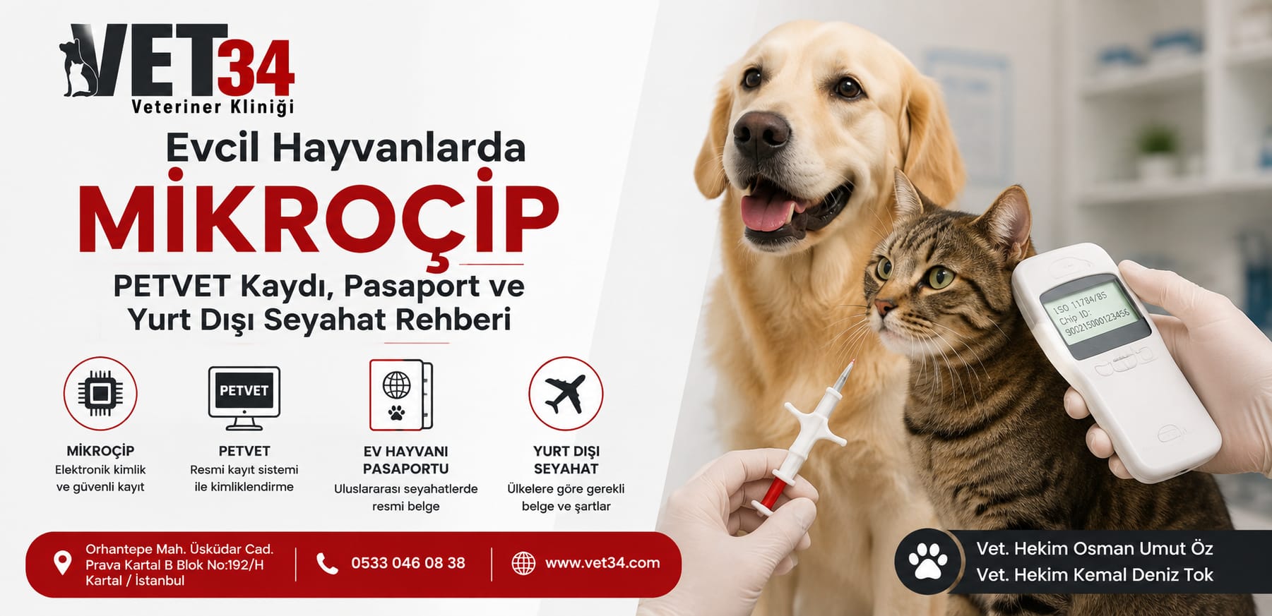  Evcil Hayvanlarda Mikroçip: PETVET Kaydı, Ev Hayvanı Pasaportu ve Yurt Dışı Seyahat Rehberi