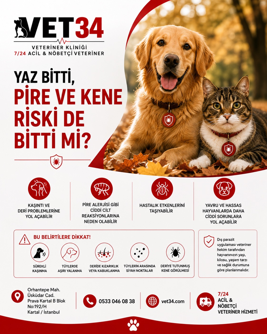 Yaz Bitti, Pire ve Kene Riski Bitti mi? Sonbaharda Dış Parazit Rehber