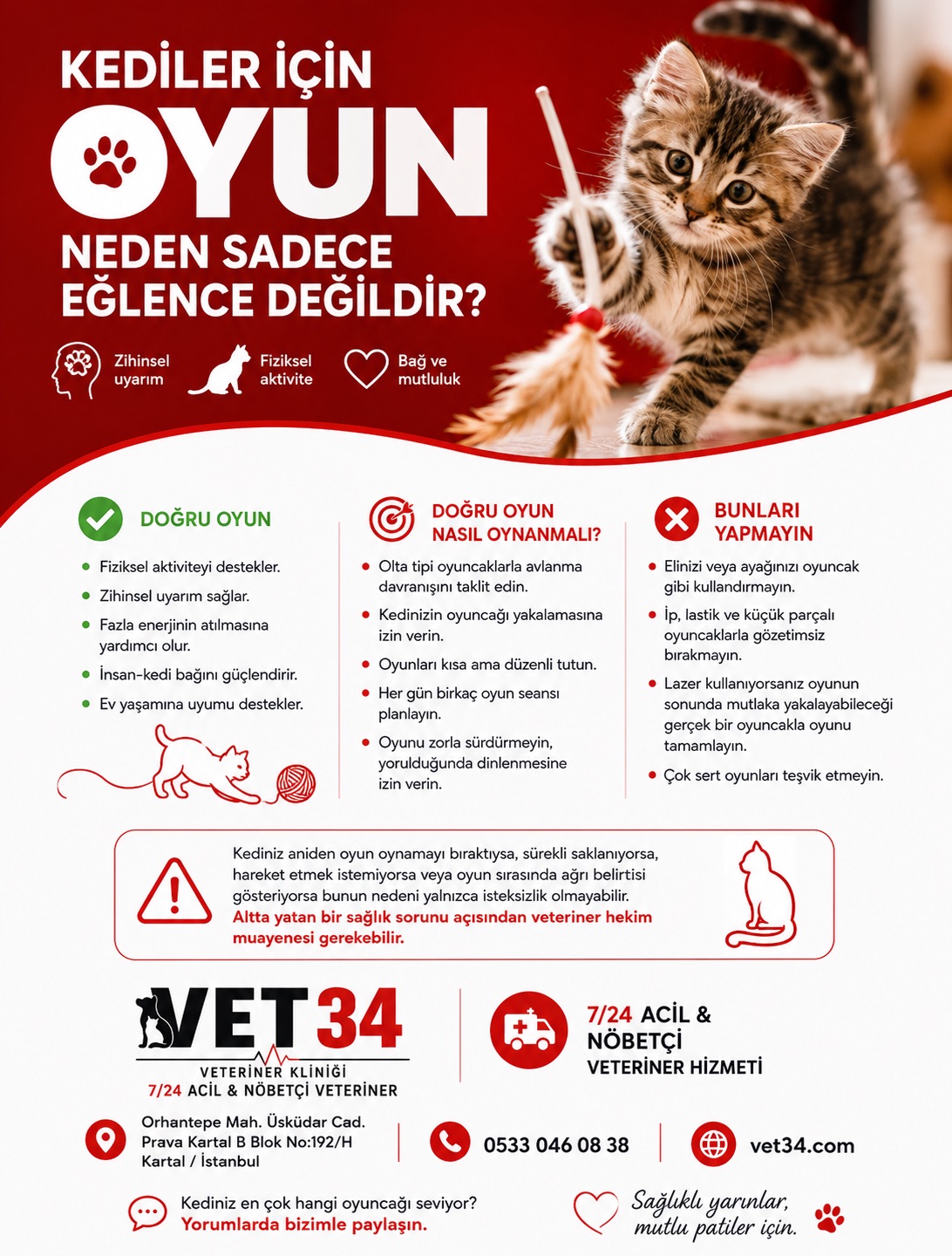  KEDİLER İÇİN OYUN NEDEN SADECE EĞLENCE DEĞİLDİR?