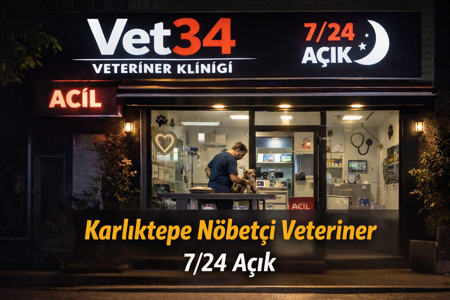 Karlıktepe Gece Açık Veteriner Nerede? | 7/24 Acil Müdahale Vet34