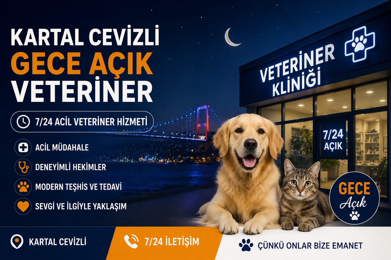 Kartal Cevizli Veteriner | 7/24 Gece Açık Acil ve En Yakın Veteriner