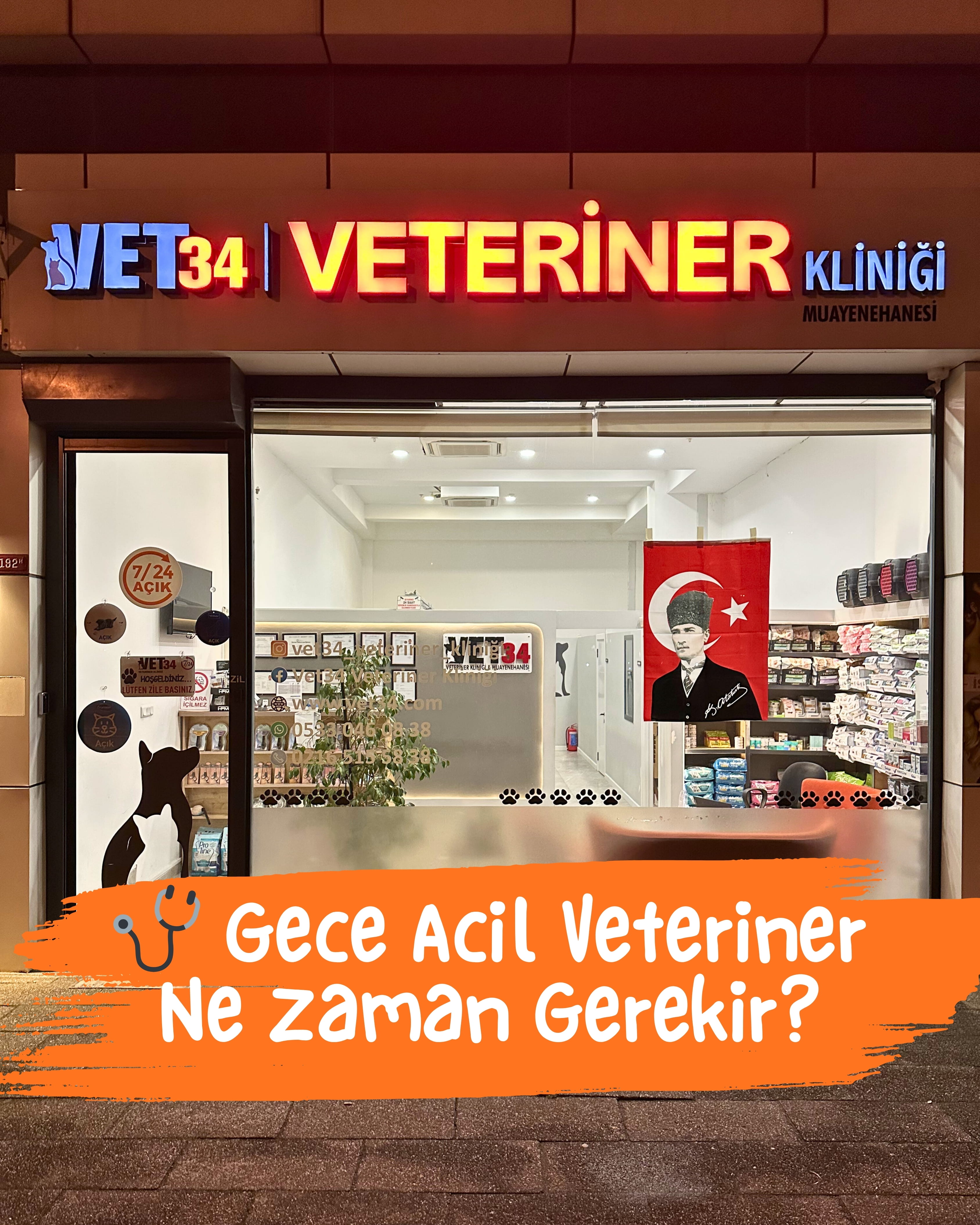 Kartal’da 24 Saat Açık Acil Veteriner Kliniği