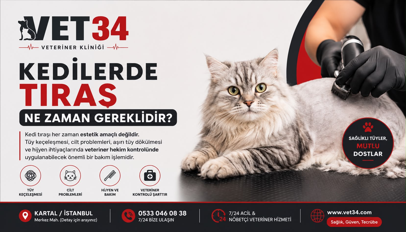 Kedilerde Tıraş Ne Zaman Gereklidir?
