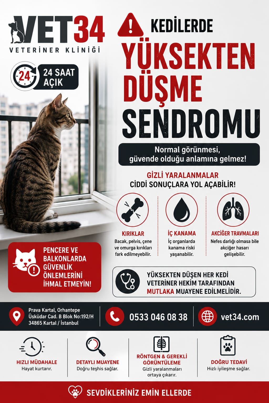 Kedilerde Yüksekten Düşme Sendromu: Dışarıdan İyi Görünmesi Güvende Olduğu Anlamına Gelmez