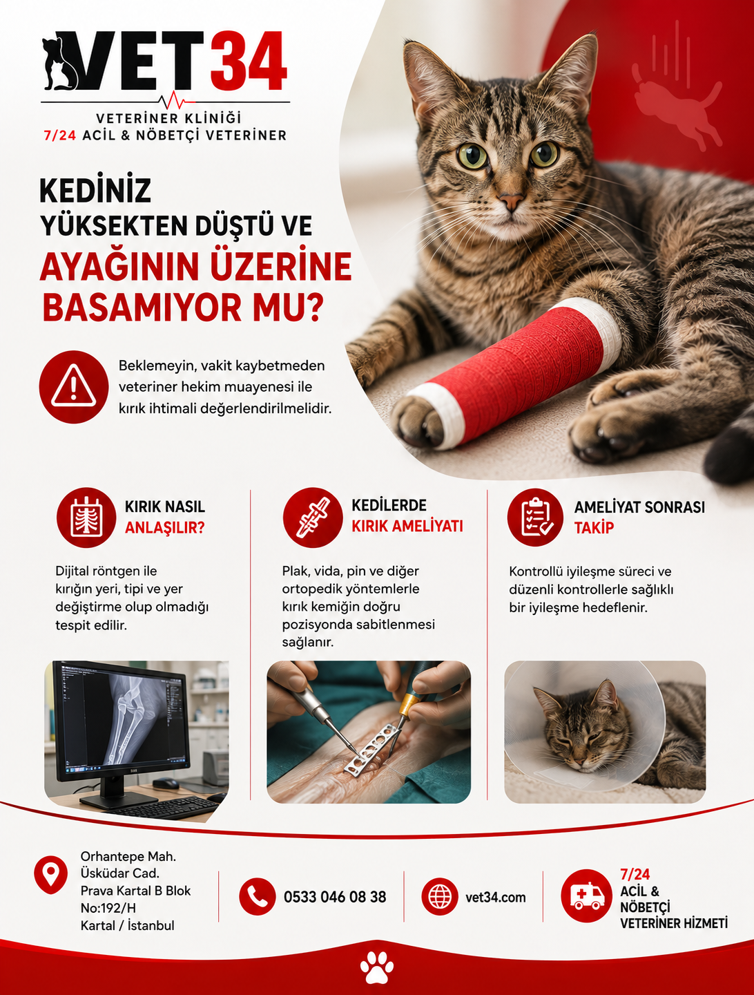 Kediniz Yüksekten Düştü ve Ayağının Üzerine Basamıyor mu?