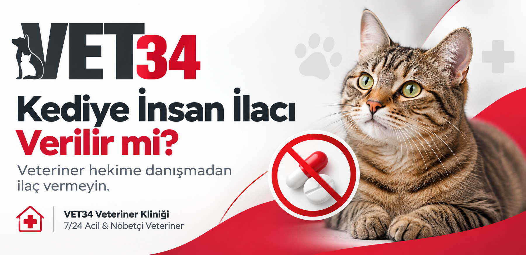 Kediye İnsan İlacı Verilir mi?