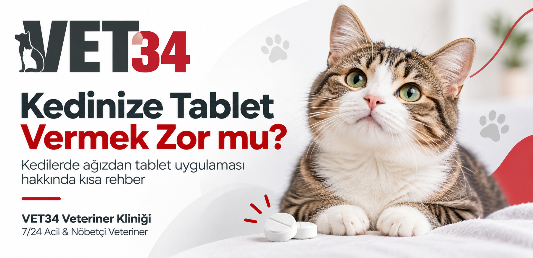 Kedinize Tablet Vermek Zor mu? Kedilerde Ağızdan İlaç Uygulaması
