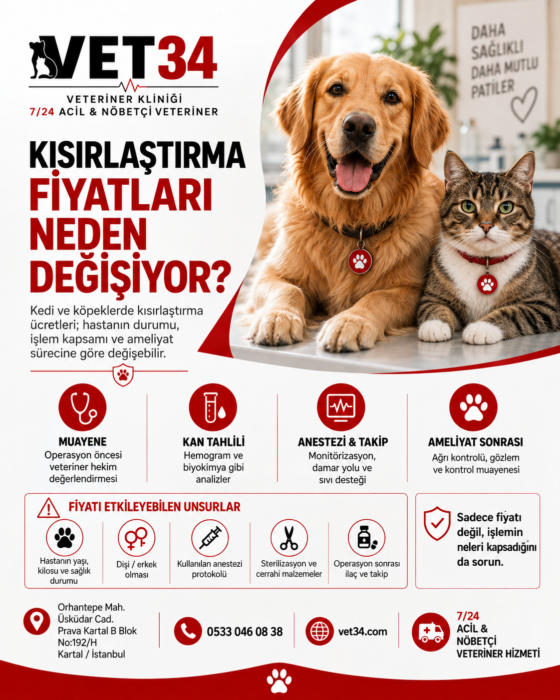 Kedi ve Köpeklerde Kısırlaştırma Fiyatları Neden Bu Kadar Değişiyor?