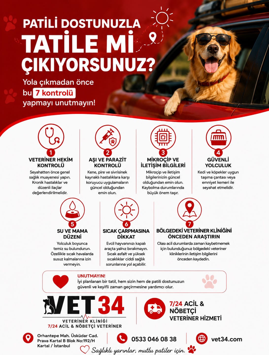 PATİLİ DOSTUNUZLA TATİLE Mİ ÇIKIYORSUNUZ?