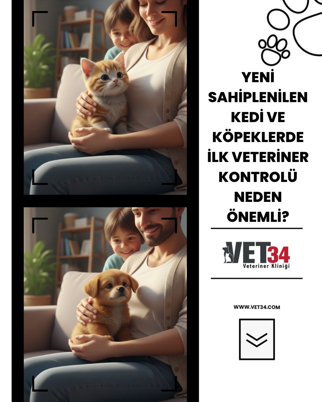 Yeni Sahiplenilen Kedi ve Köpeklerde İlk Veteriner Kontrolü Neden Önemli?
