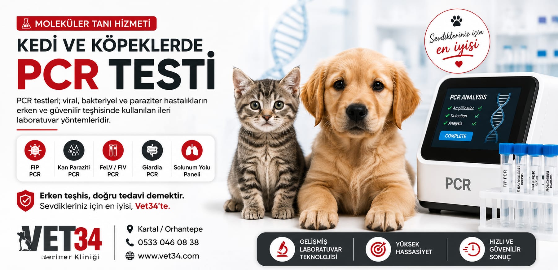Kedi ve Köpeklerde PCR Testi (Moleküler Tanı Hizmeti)