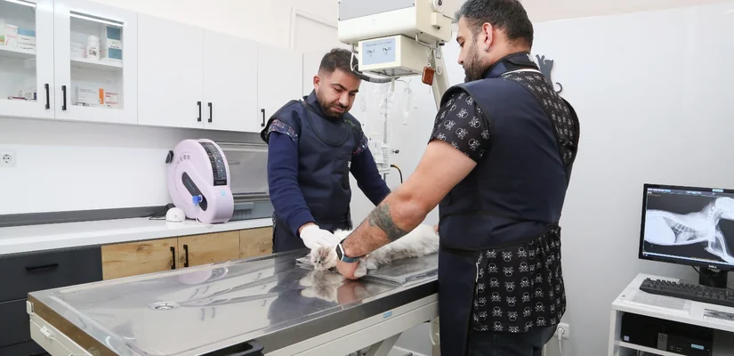 Acil Müdahale ve Travma Vakaları