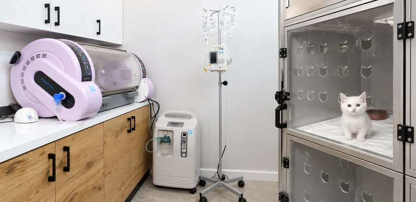 Yoğun Bakım ve Hospitalizasyon Hizmetleri