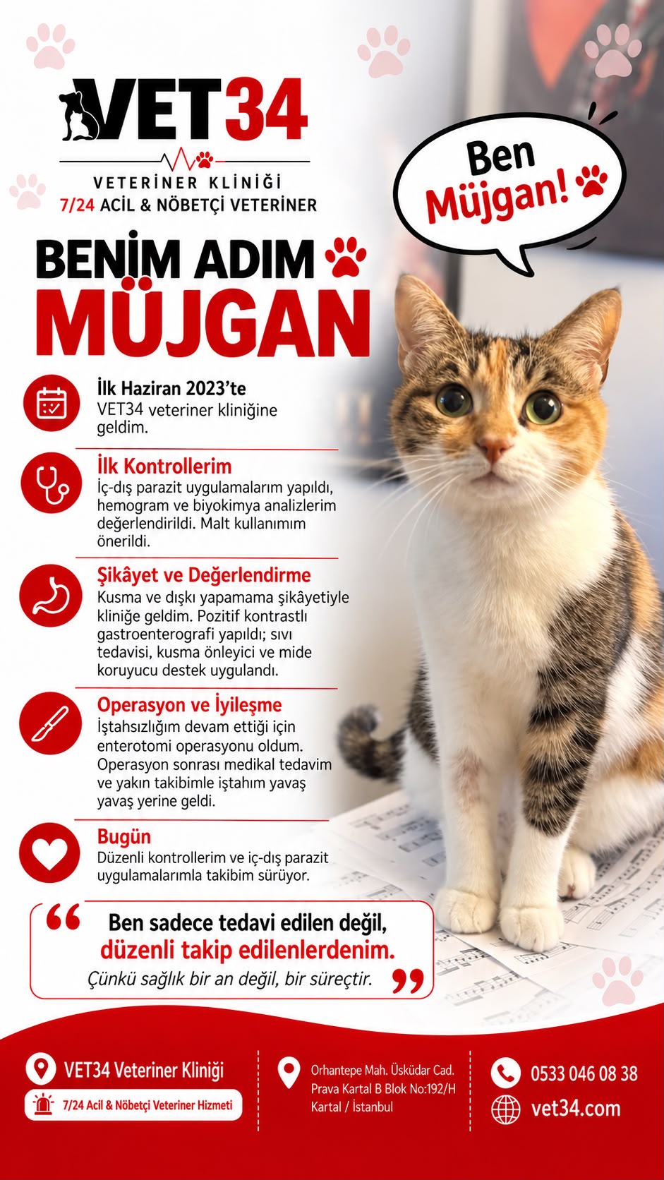 Benim Adım Müjgan: Kedilerde Kusma, Dışkı Yapamama ve Enterotomi Süreci