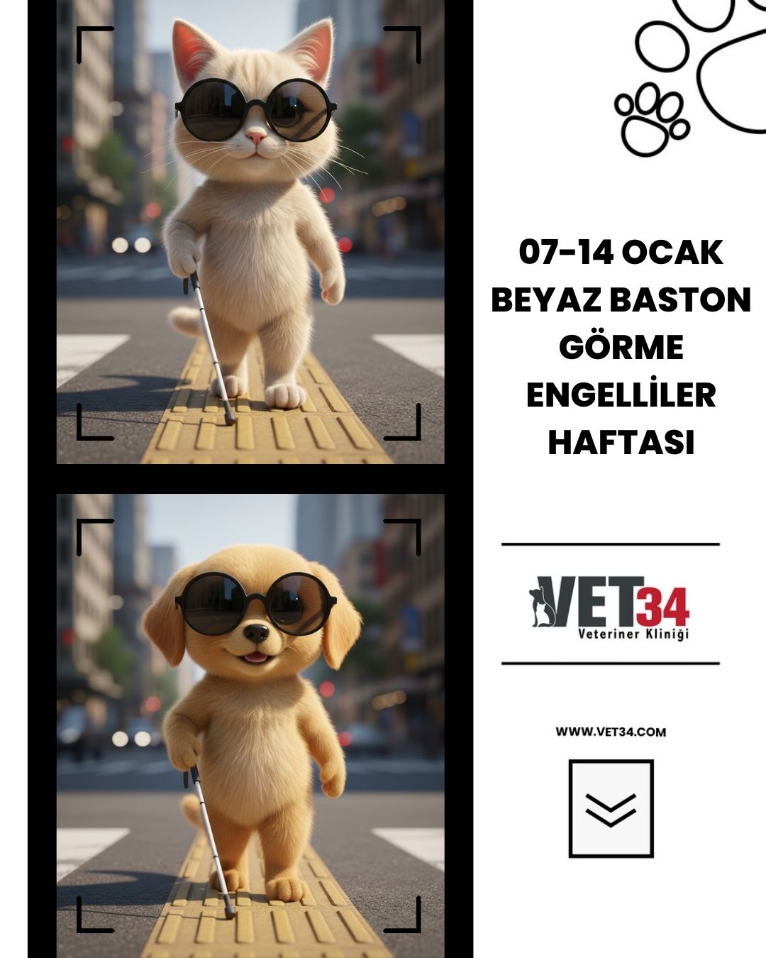 7-14 Ocak Beyaz Baston Görme Engelliler Haftası 