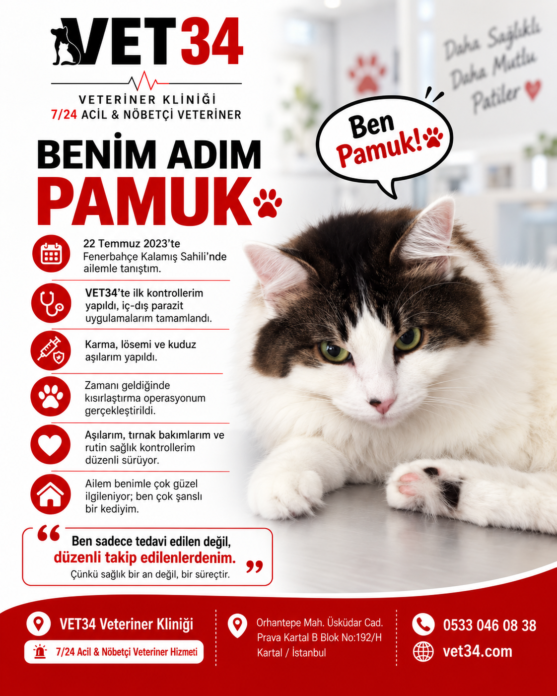 Benim Adım Pamuk: Fenerbahçe Kalamış Sahili’nden VET34’e Uzanan Hikâye