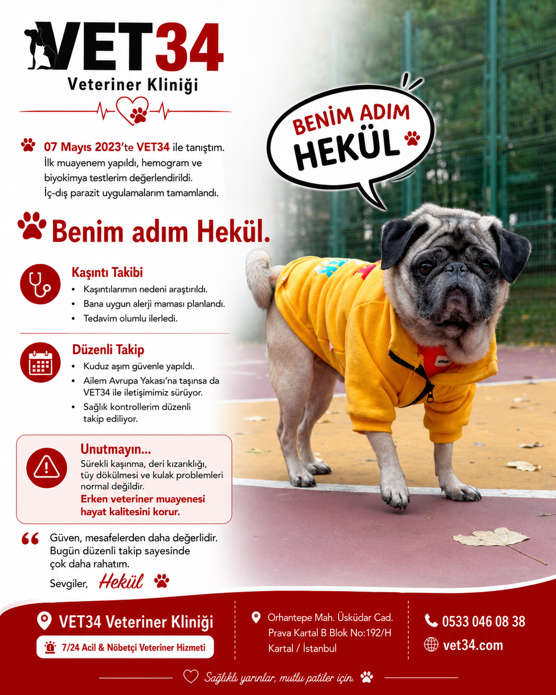 Köpeklerde Alerjik Deri Hastalıkları: Hekül'ün Hikayesi