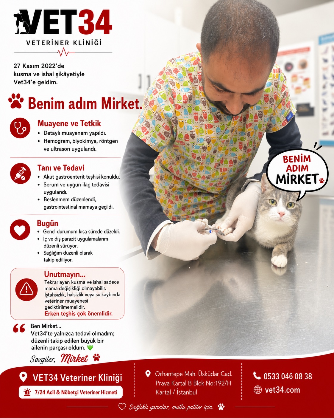 Kedilerde Akut Gastroenterit: Mirket'in İyileşme Hikayesi