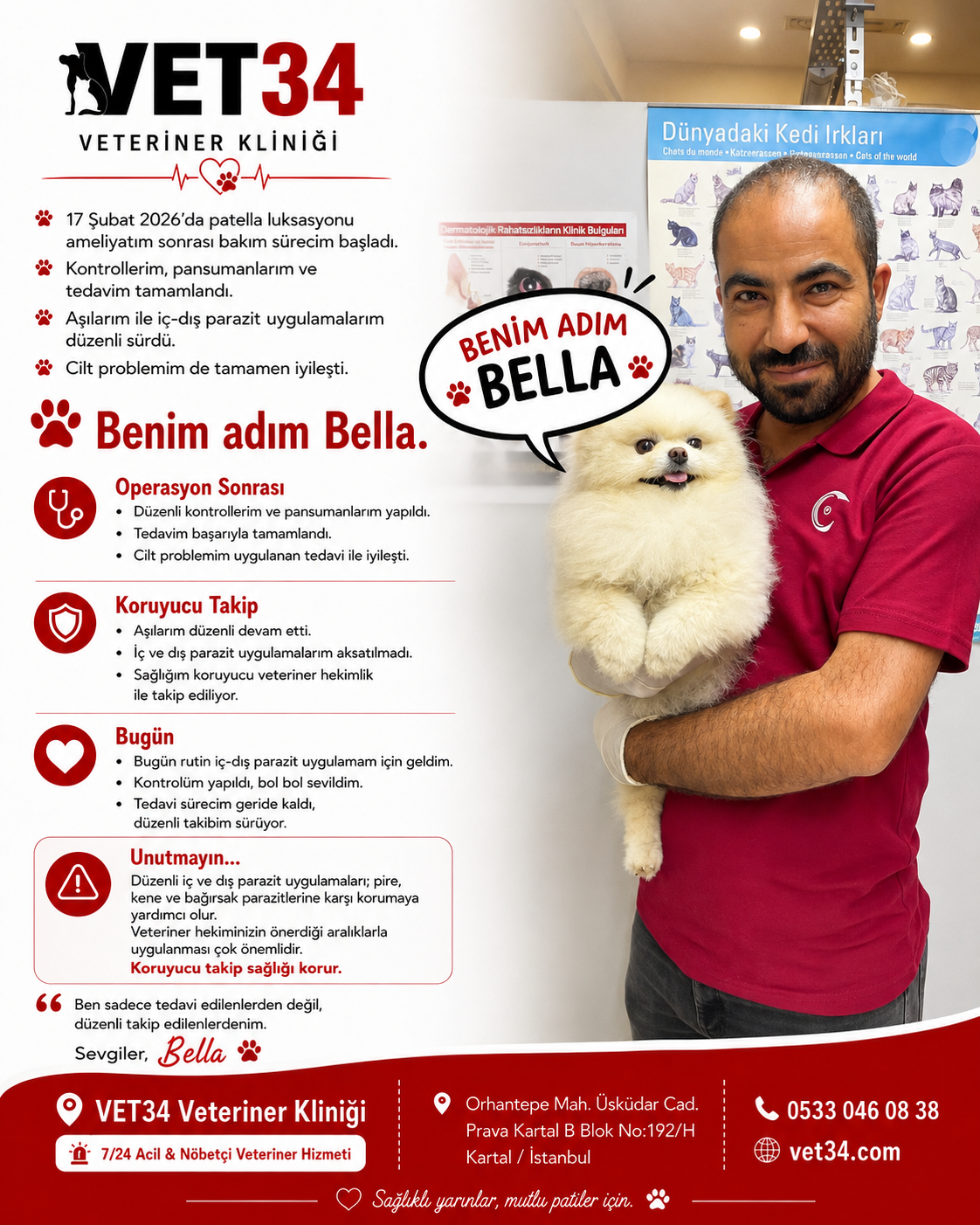 Bella’nın Patella Luksasyonu Ameliyatı Sonrası İyileşme Hikayesi  