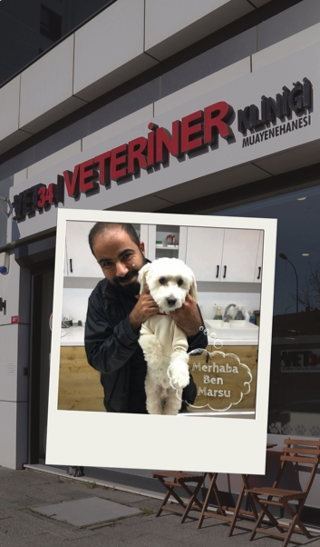 Vet34 Veteriner Kliniği’nin 4 Yılı Aşkın Kesintisiz Çalışma Düzeni