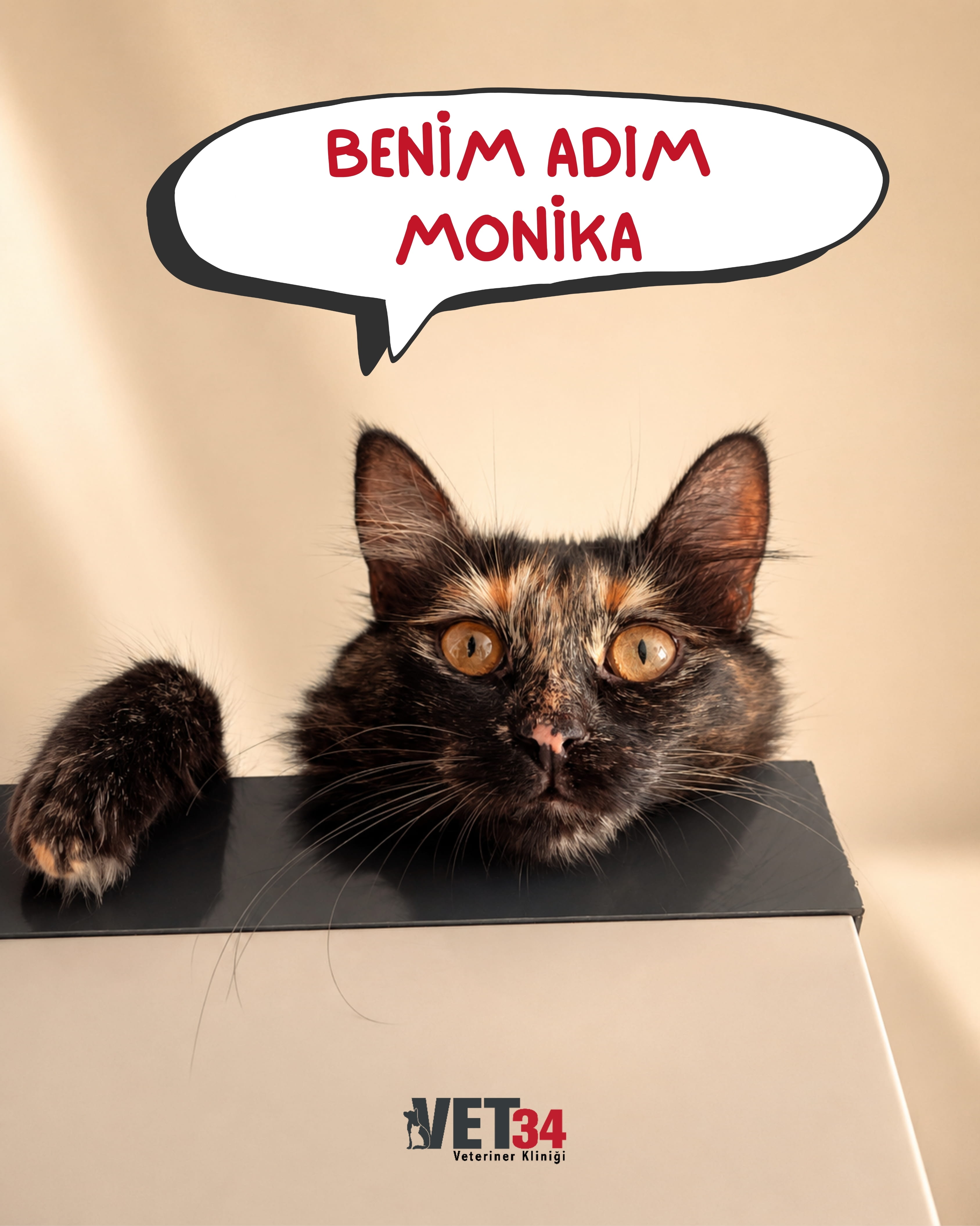 Benim Adım Monika