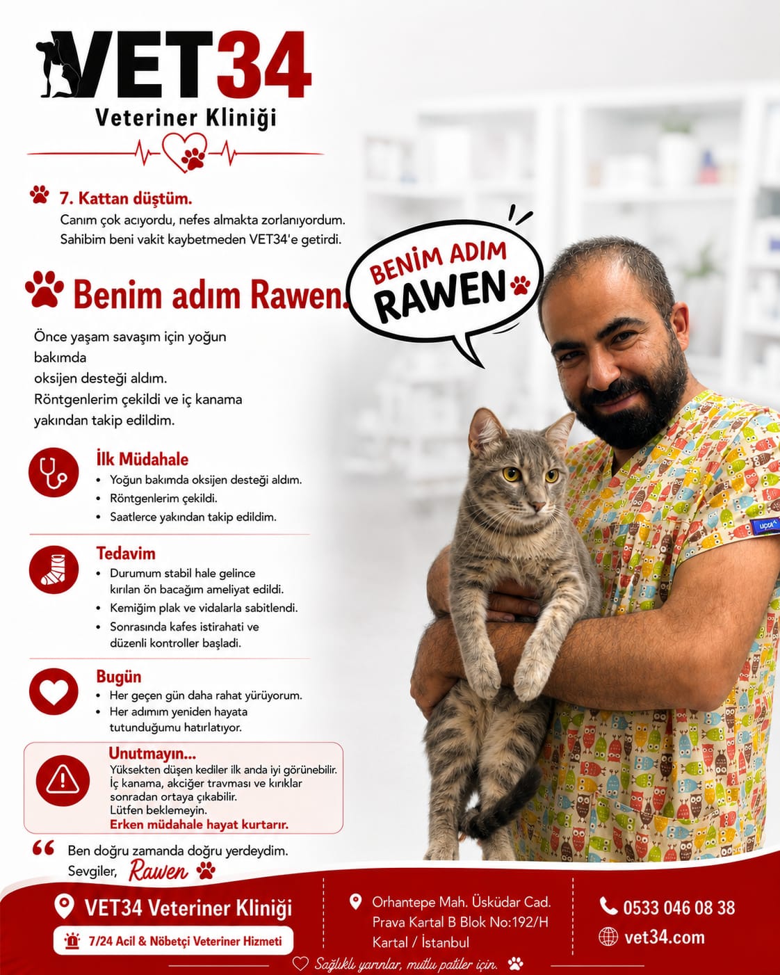 Kedilerde Yüksekten Düşme Sonrası Tedavi: Rawen'in İyileşme Hikayesi