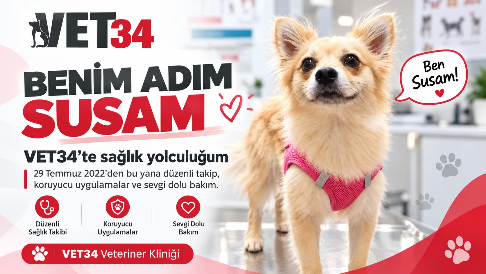 Benim Adım Susam: Düzenli Veteriner Takibiyle Sağlık Yolculuğu