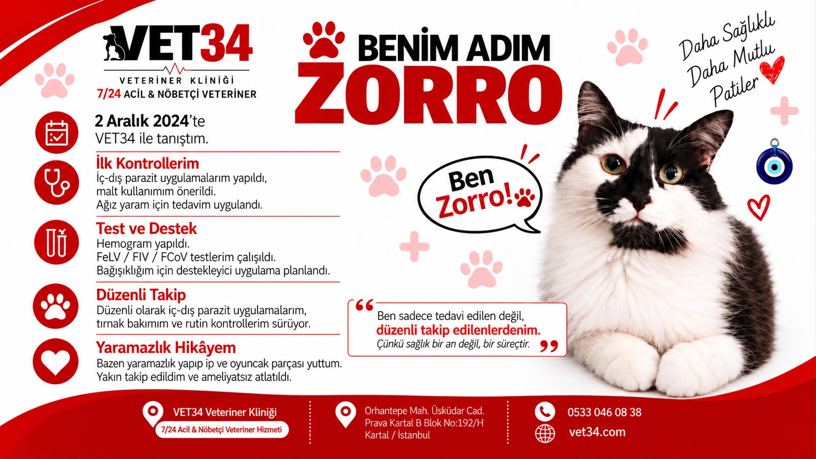 Benim Adım Zorro: Kedilerde Yabancı Cisim Takibi ve Koruyucu Sağlık Süreci